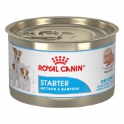 Royal Canin Starter Mousse консервы для щенков  до 2 месяцев и сук 195 гр