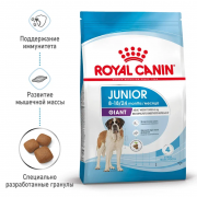 Royal Canin Giant Junior сухой корм для щенков собак очень крупных размеров