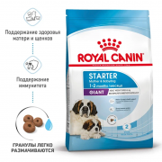 Royal Canin Giant Starter сухой корм для щенков гигантских пород до 2 месяцев и сук 4 кг